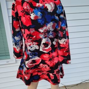 Papillon fall winter dress,